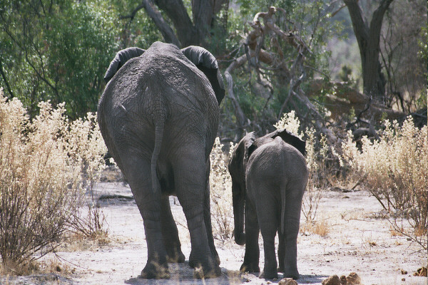 Mom and Child, Botswana, Africa